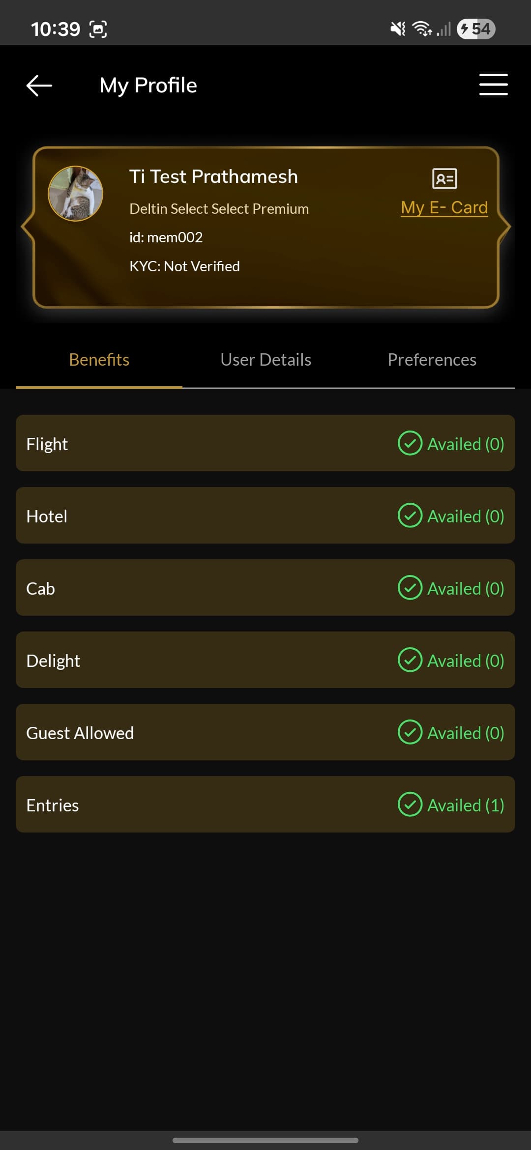 DeltinOne screenshot 16 - Application interface showing key features and user experience